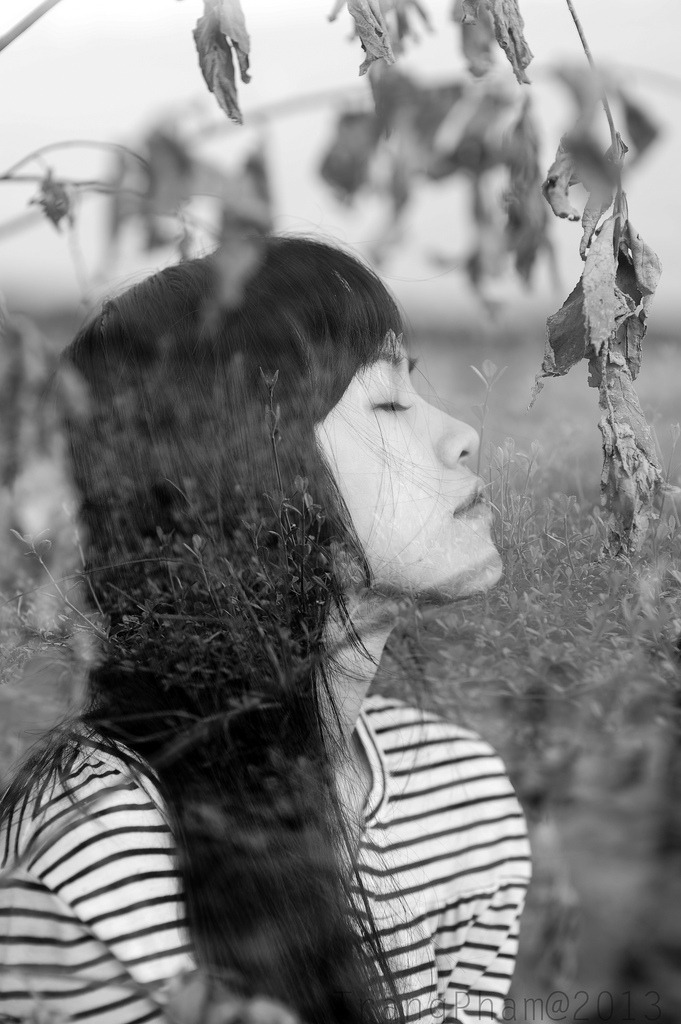 抵押的朋友麦子
